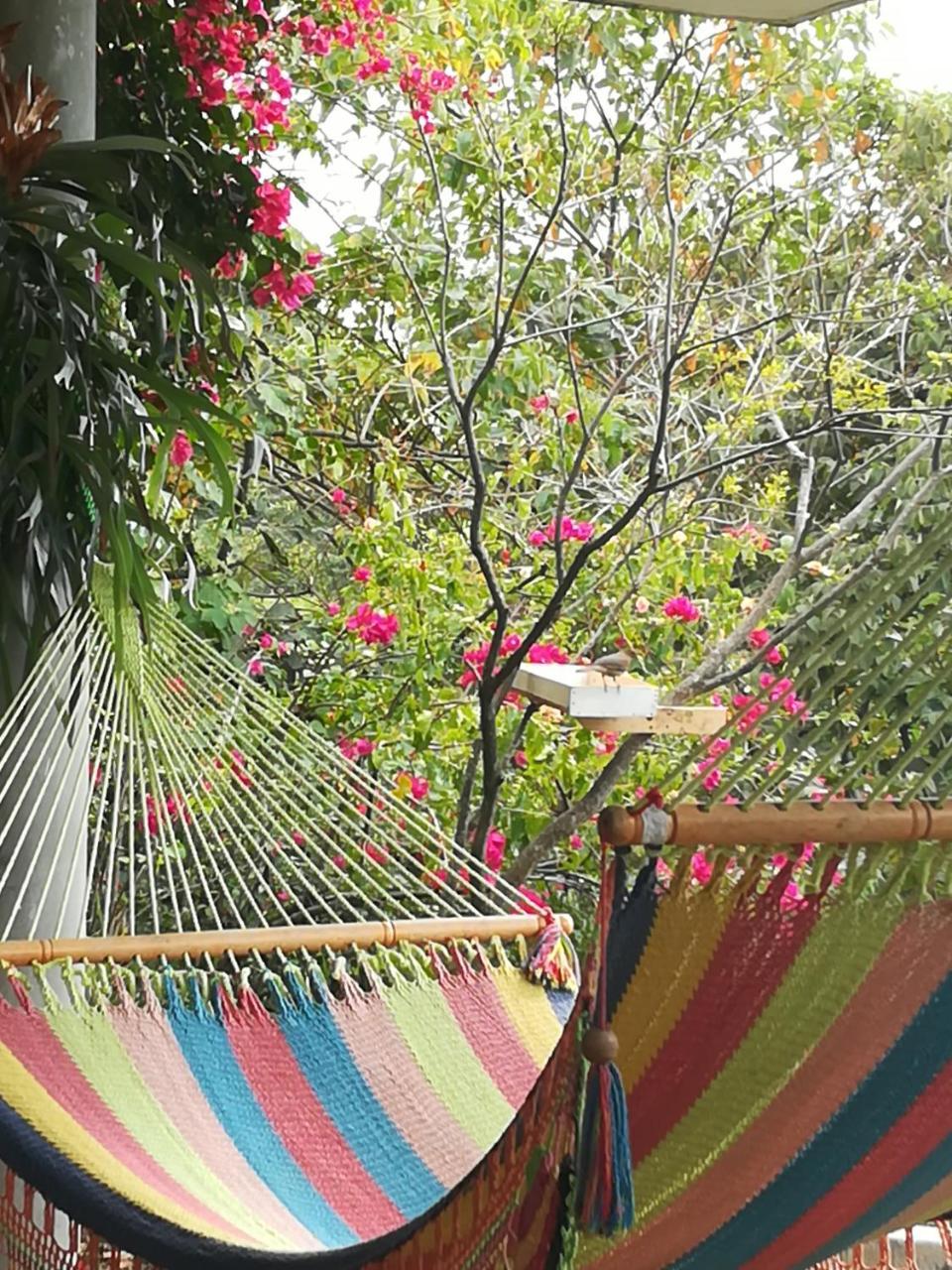 Homestay Casa Marlui-san Jose
