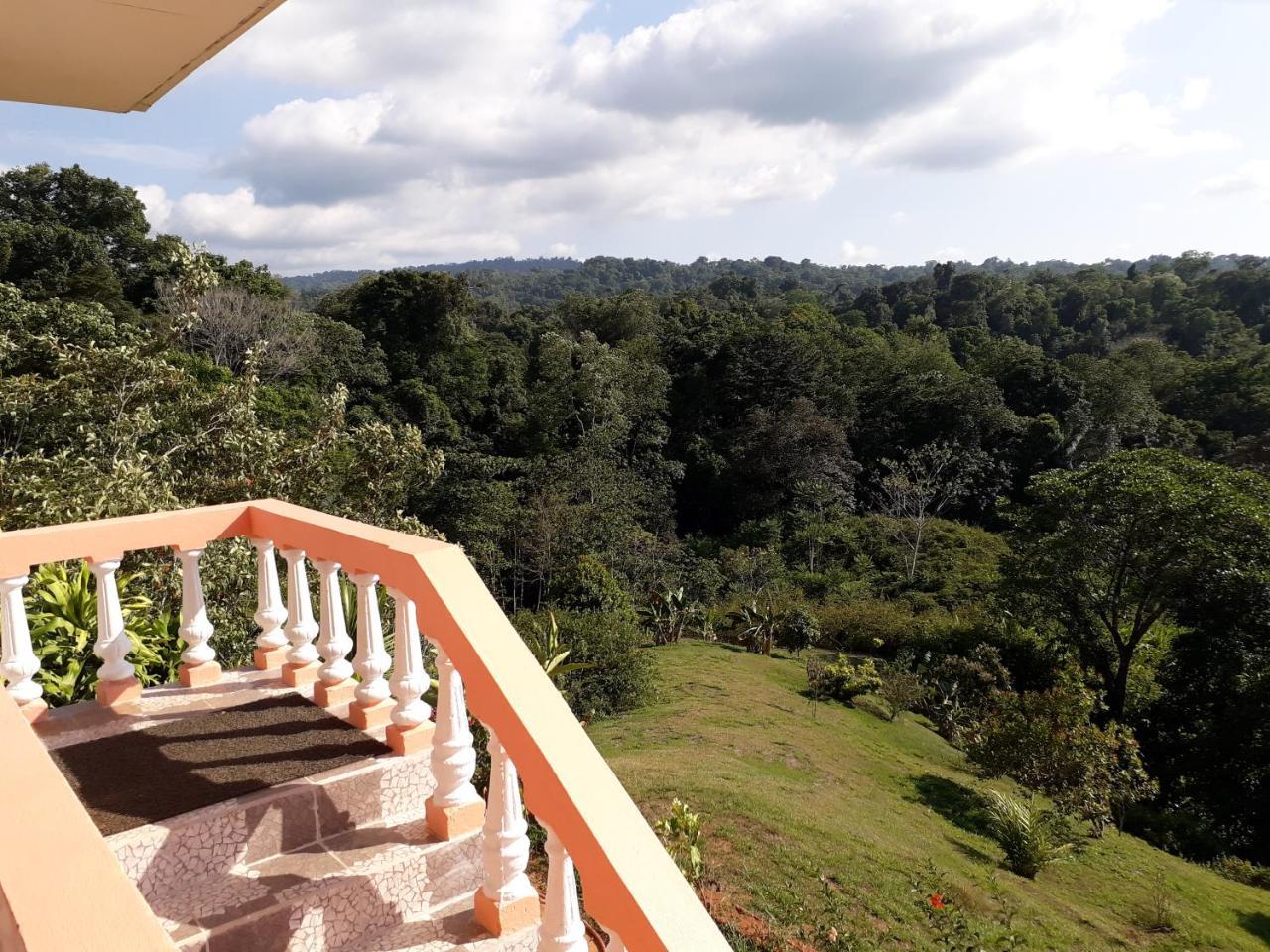 Manolo Corcovado, Ocean & Forest View Lodge, Bar & Restaurant * Drake Bay