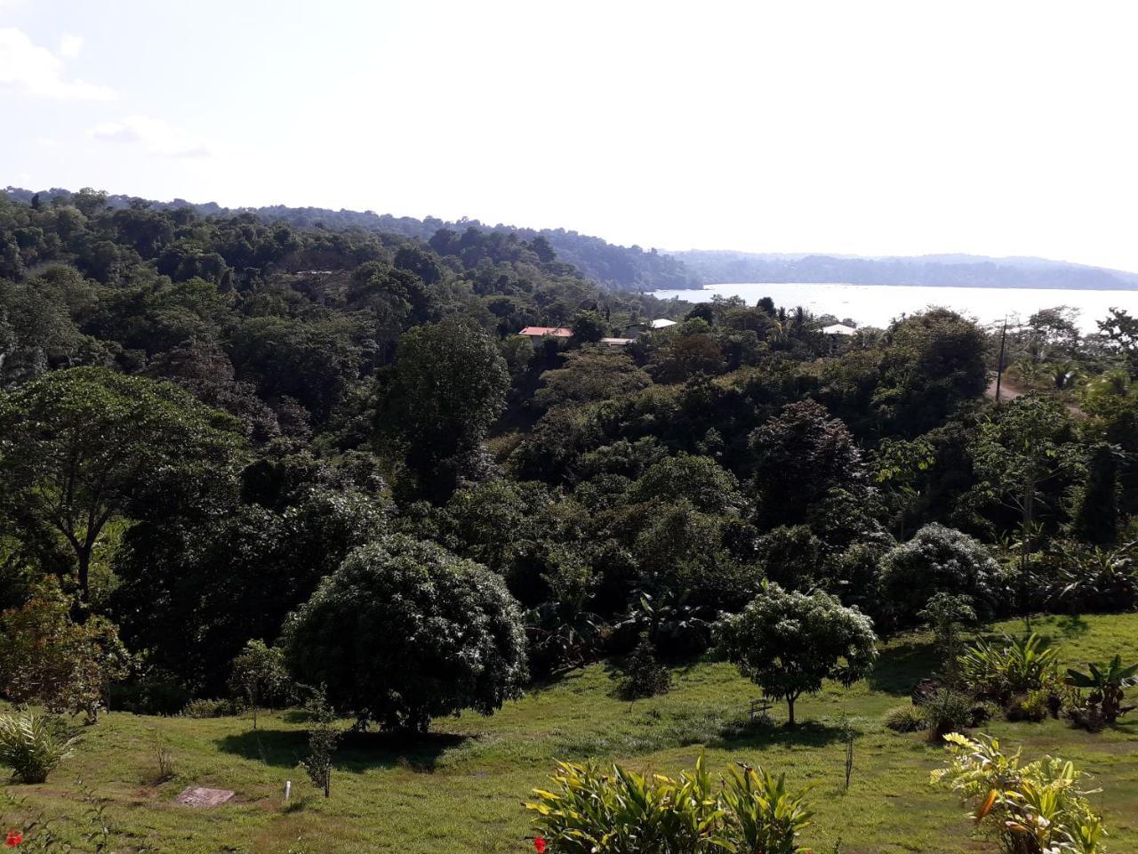 Manolo Corcovado, Ocean & Forest View Lodge, Bar & Restaurant Drake Bay