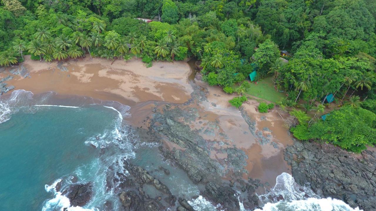 Corcovado Adventures Hostel