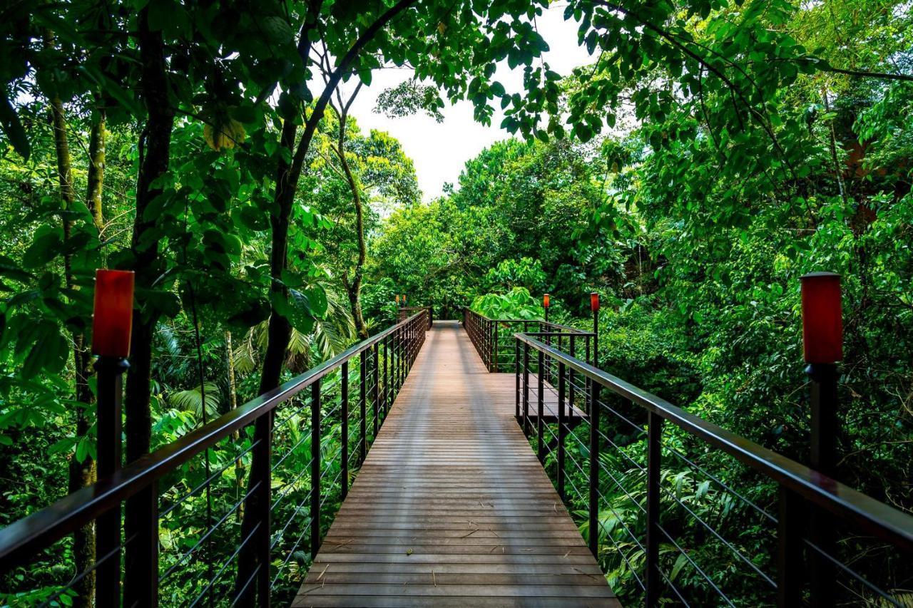 Nayara Gardens 5*