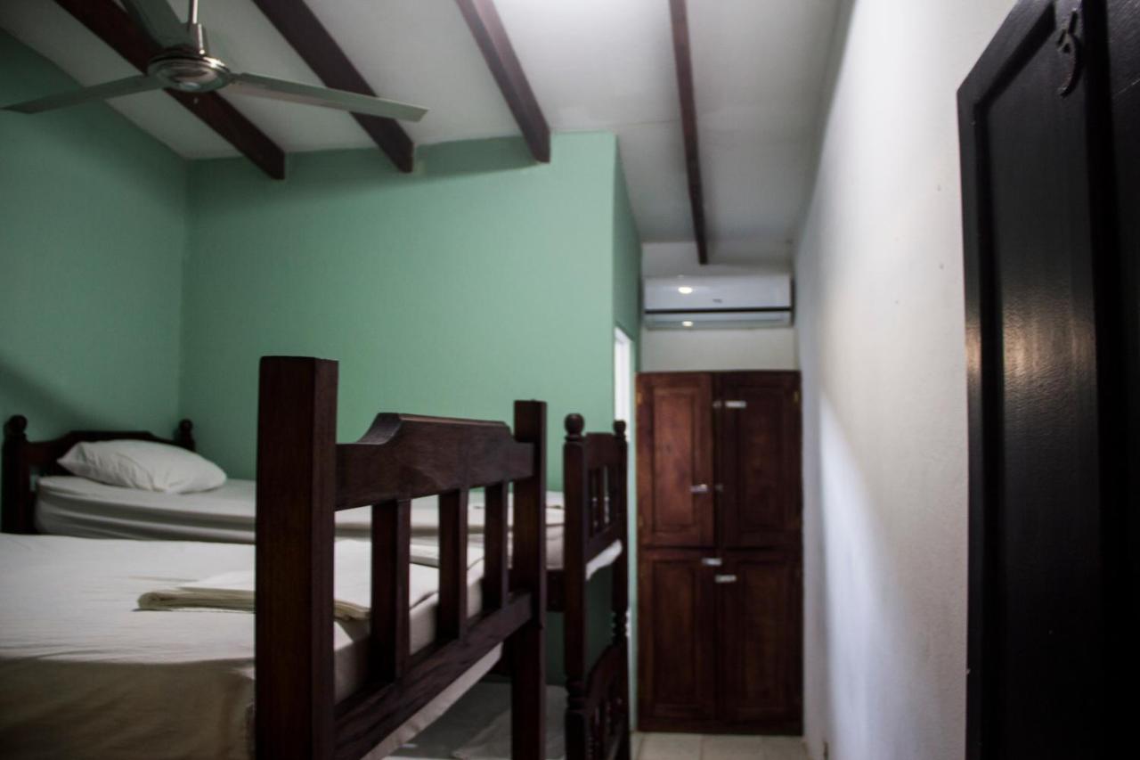 Hostel Tsunami