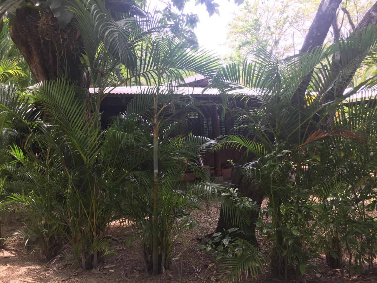 Hotel Mal Pais Surf Camp