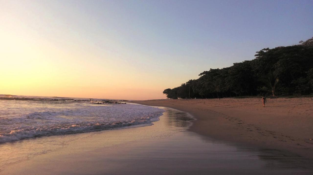Calma Costa Rica Malpais