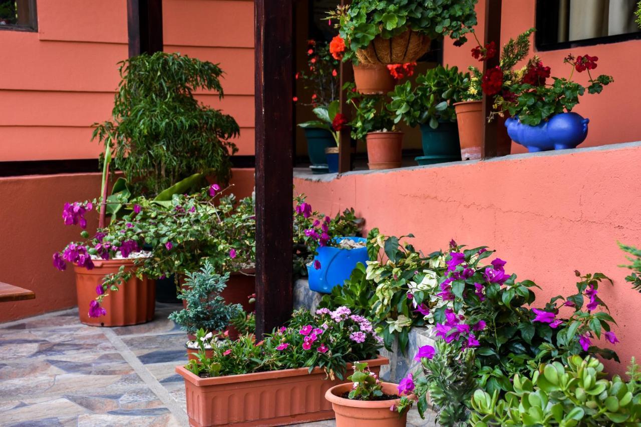 Bed & Breakfast Cabinas Eddy