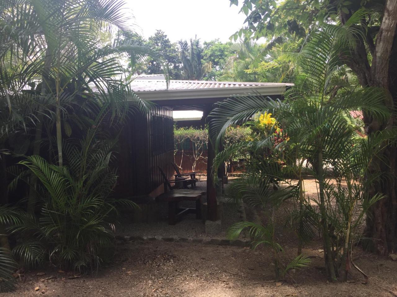 Hotel Mal Pais Surf Camp