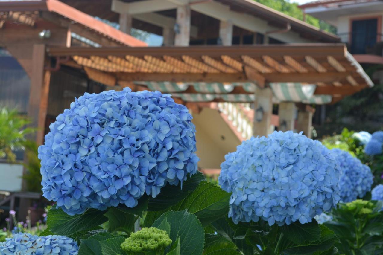 Finca Paraiso Mountain Retreat Near San Jose Airport 5* Birri