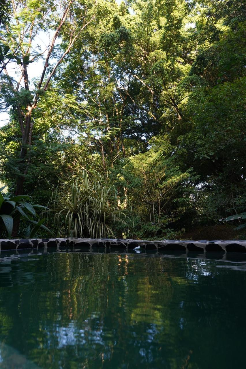 Mineros Guest house *