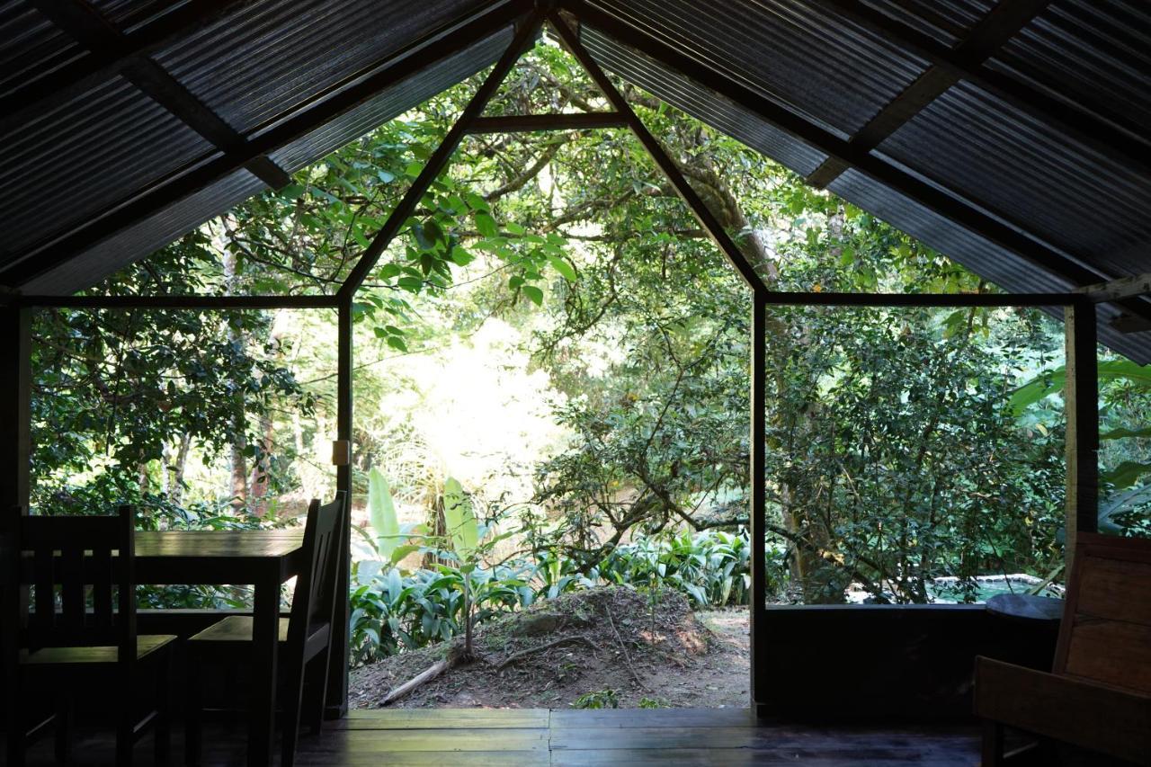 Guest house Mineros