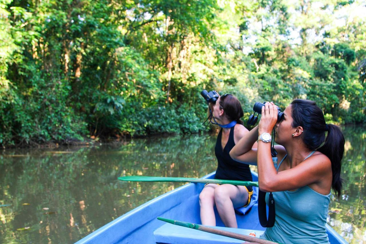 Hostel Meryscar Tortuguero