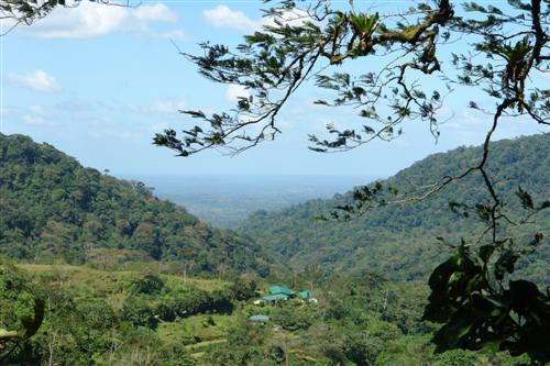 Lands In And Hotel La Fortuna