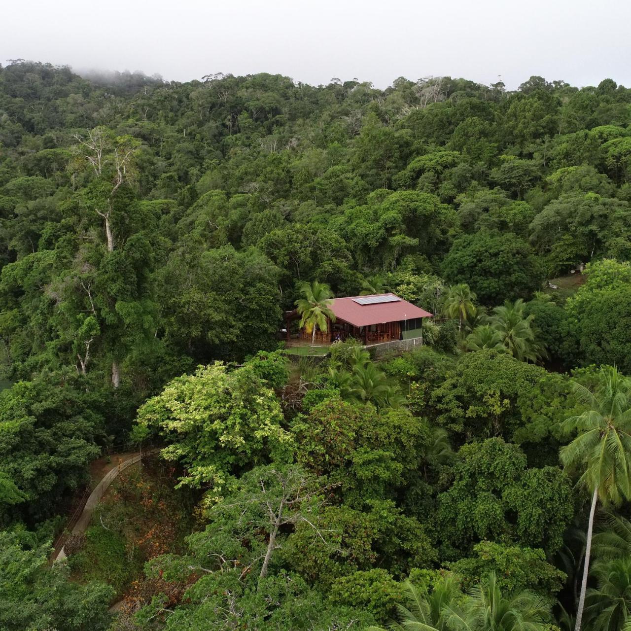 Casa Roja Lodge Sierpe