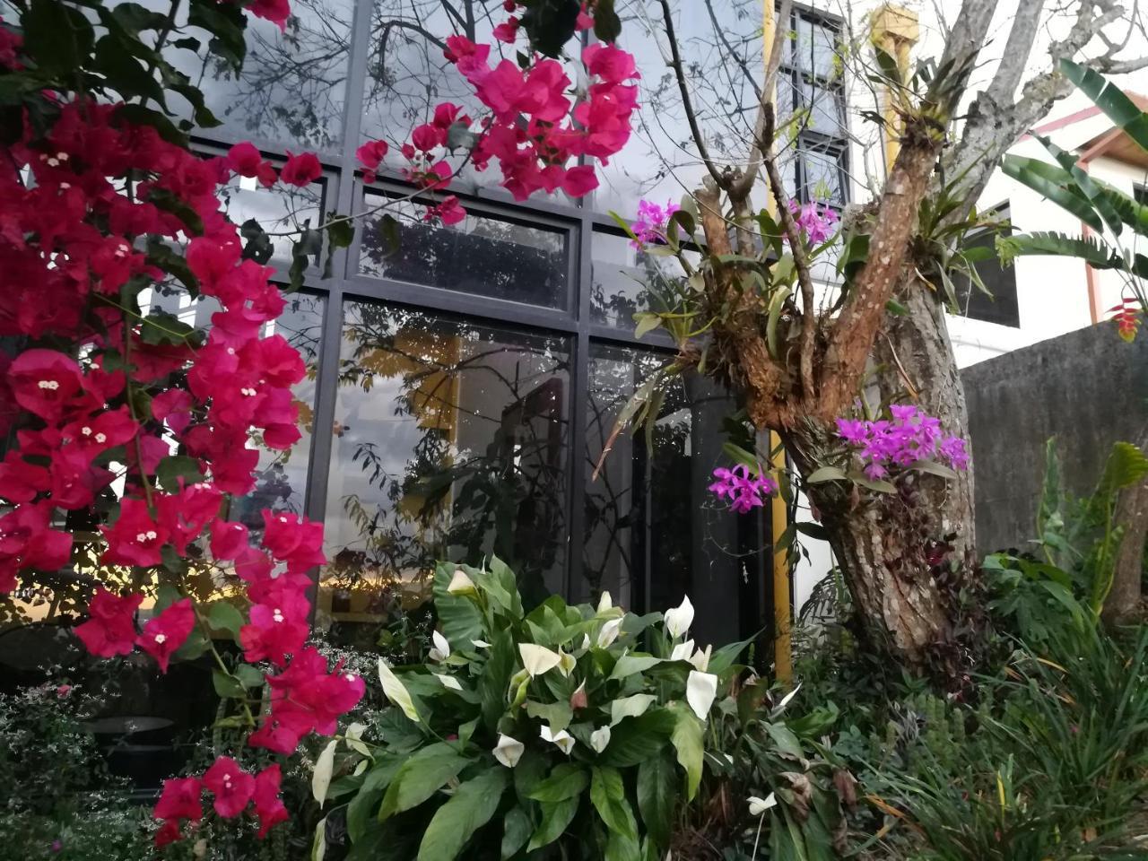 Casa Marlui-san Jose *