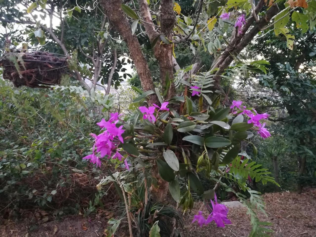 Casa Marlui-san Jose Homestay