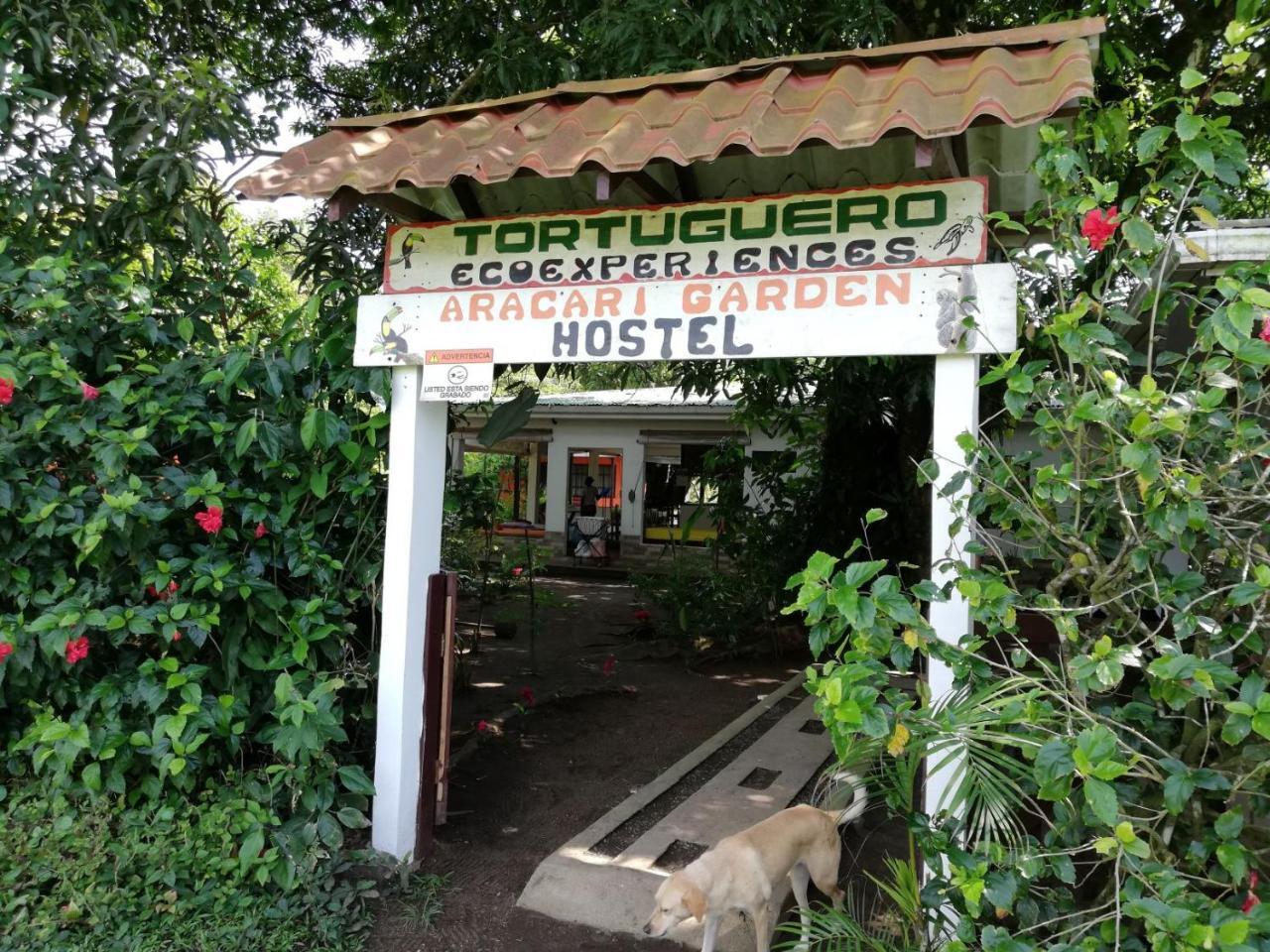 Hostel Aracari Garden *