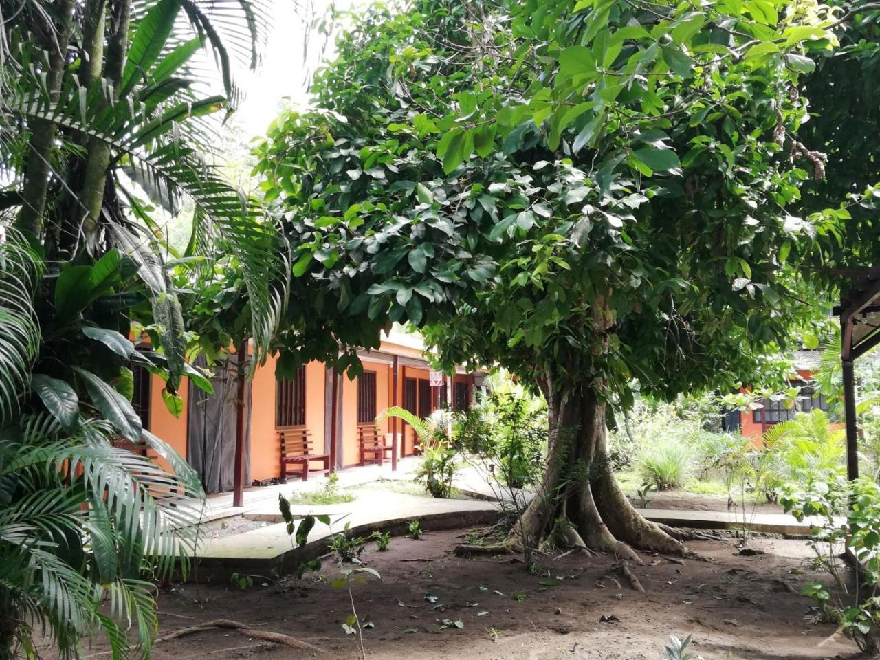 Aracari Garden *