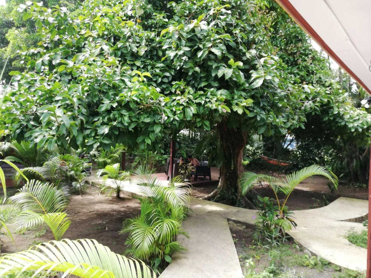 Aracari Garden Tortuguero