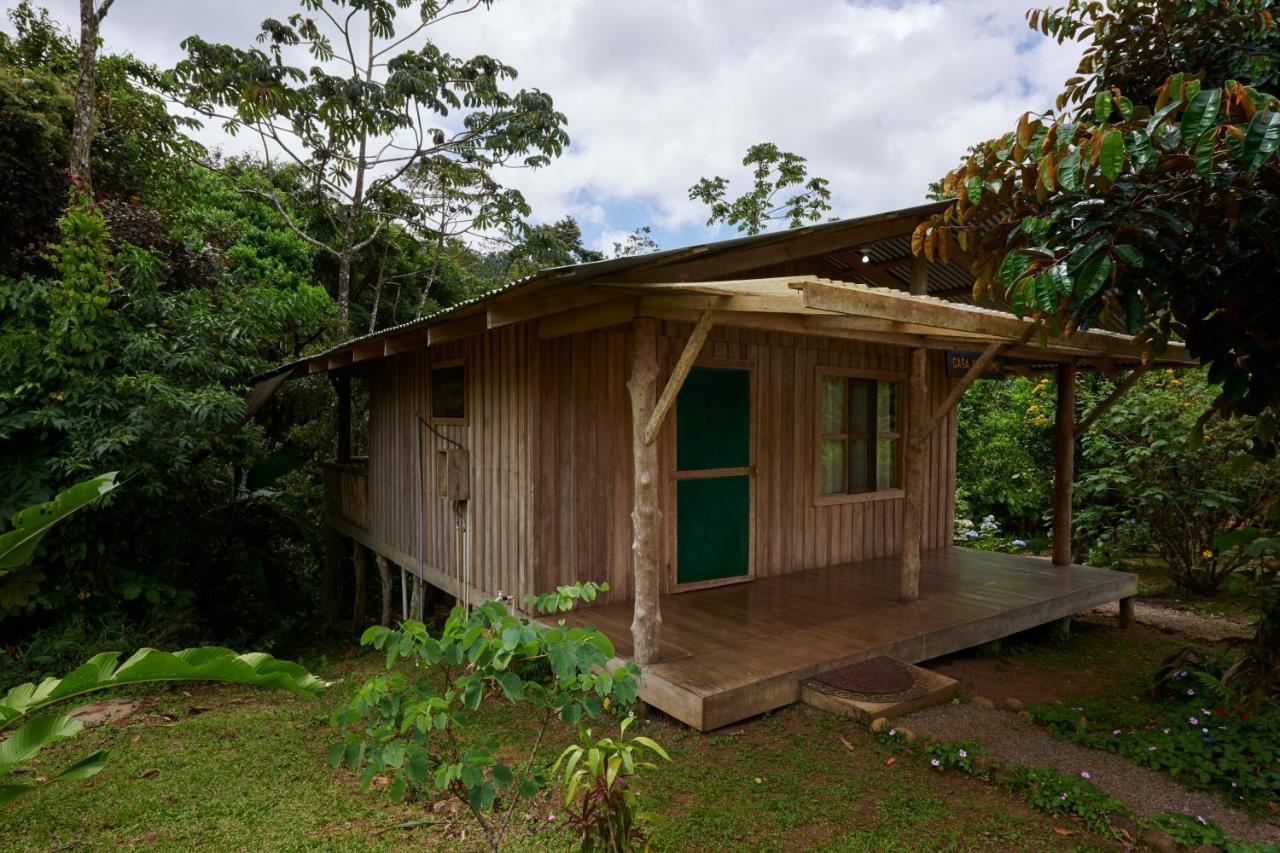 Lodge Amistad Cacao