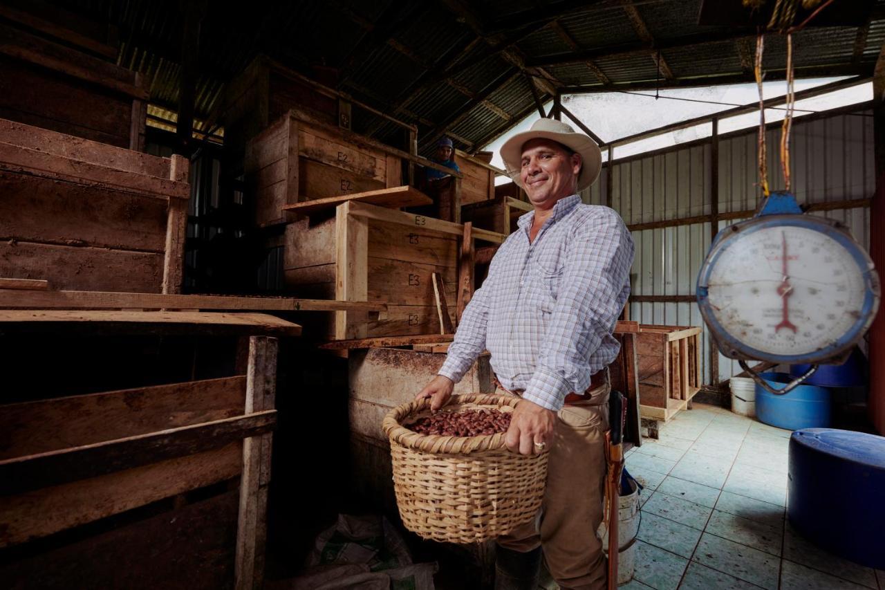 Amistad Cacao * Bijagua