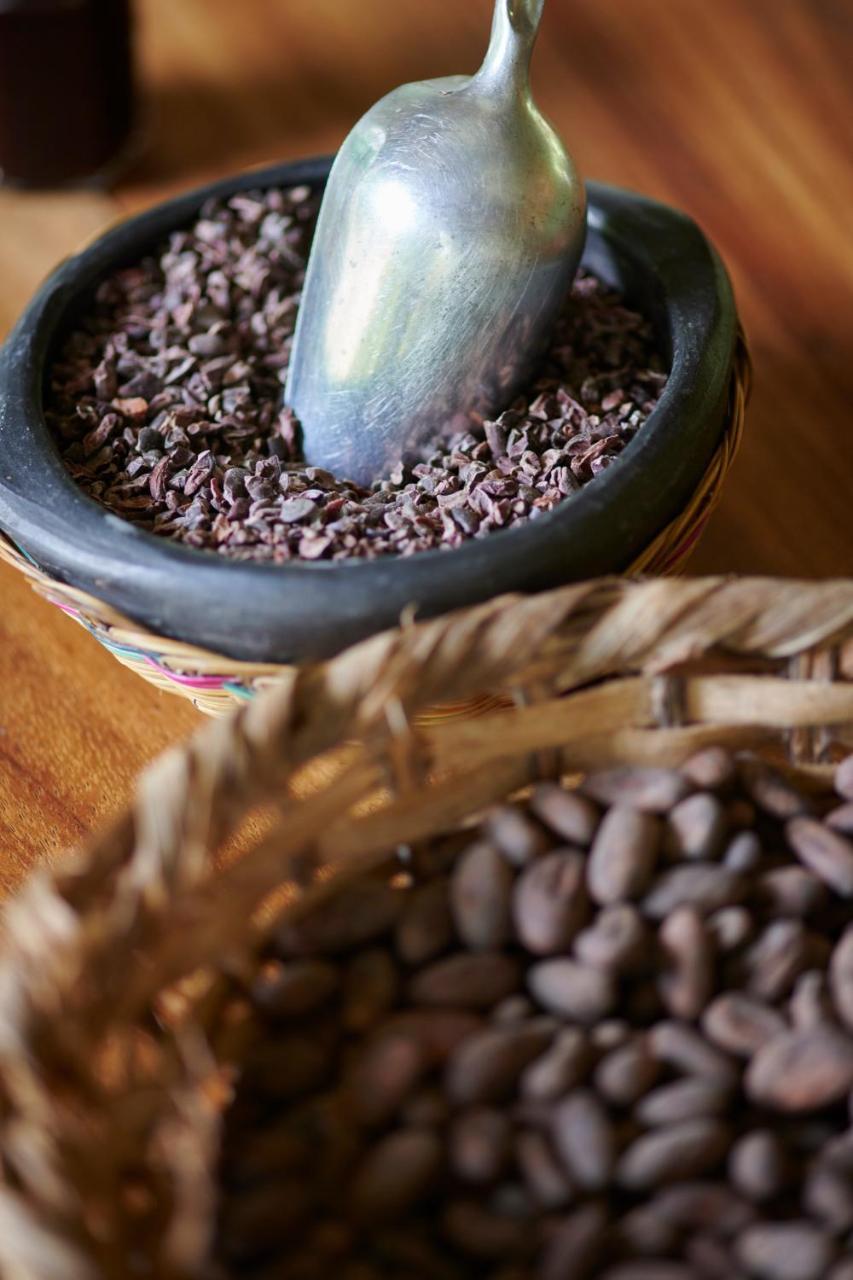 Lodge Amistad Cacao
