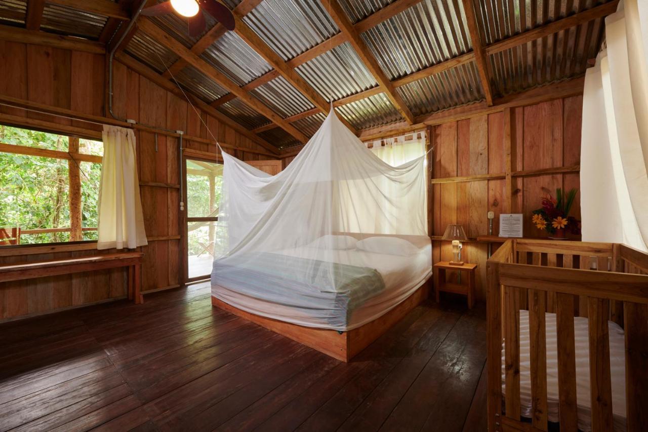 Lodge Amistad Cacao