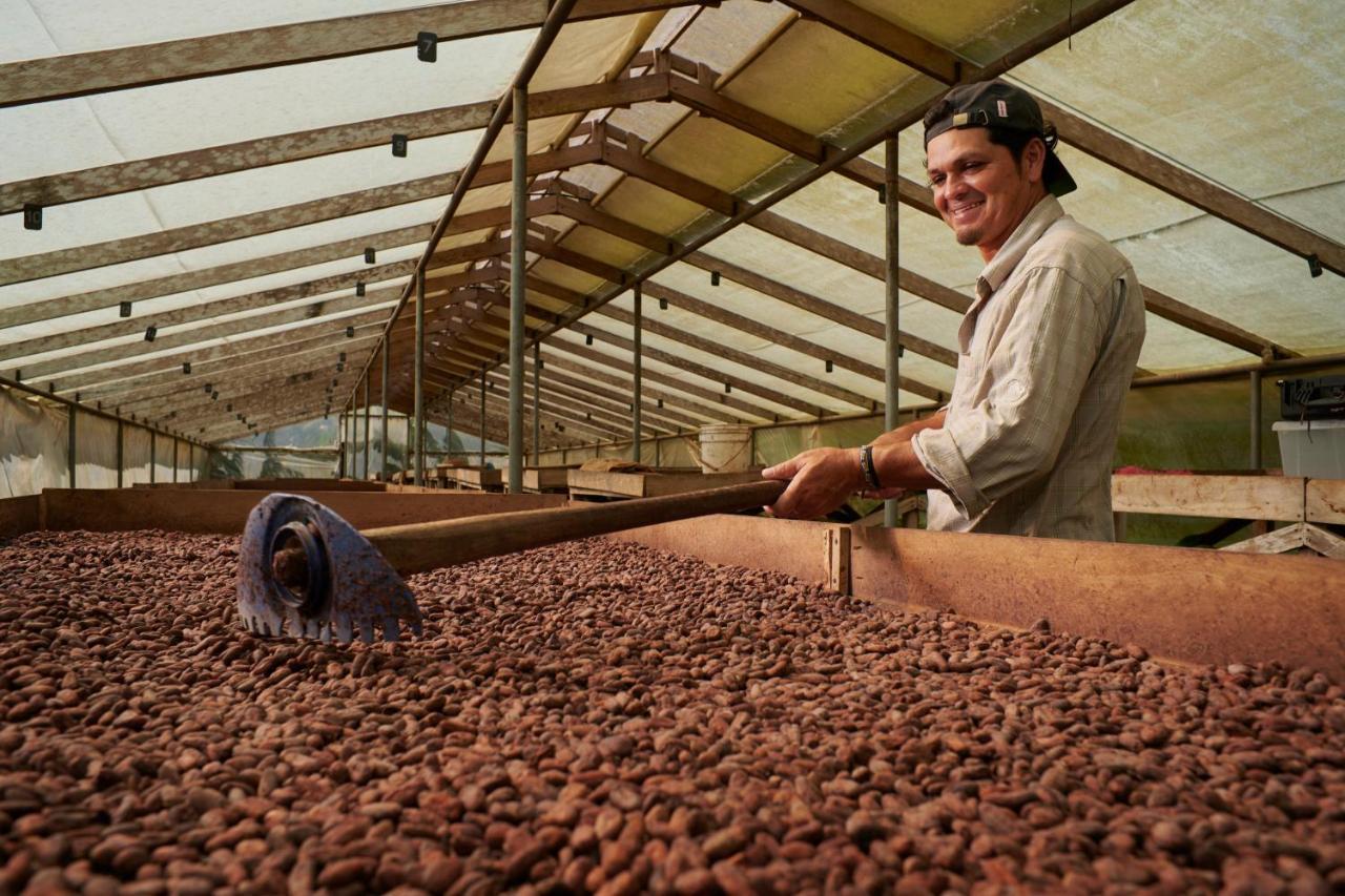 Lodge Amistad Cacao Bijagua