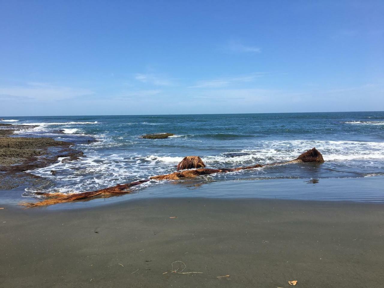 Coral Hill Holiday home Cahuita