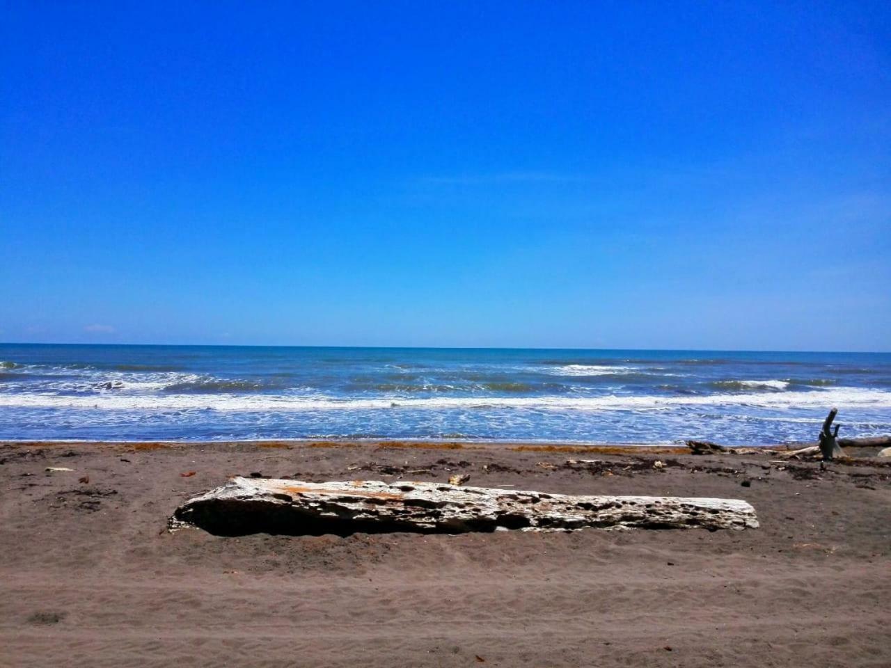 Guest house Casa Turtle Bogue Tortuguero