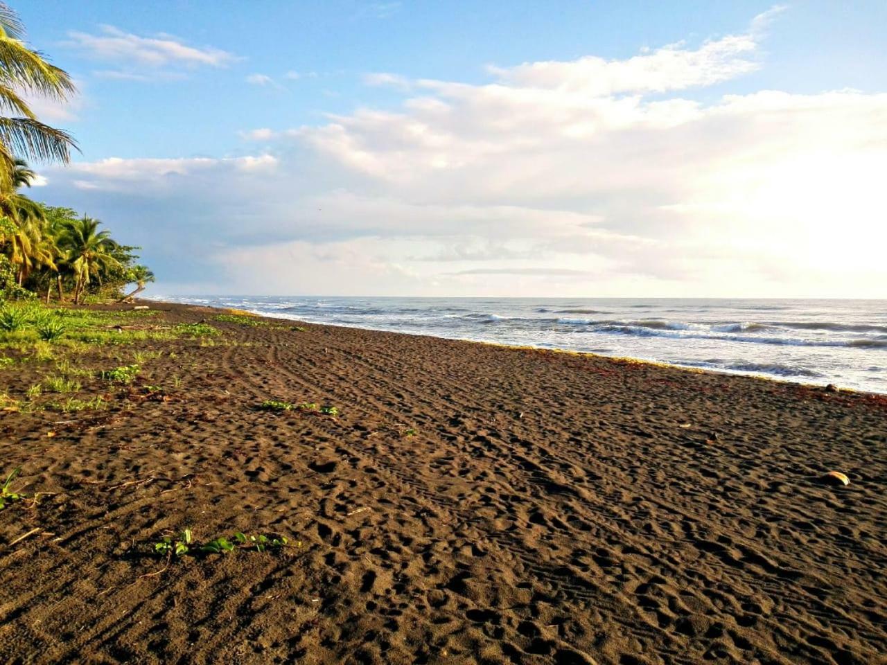 Casa Turtle Bogue Guest house *