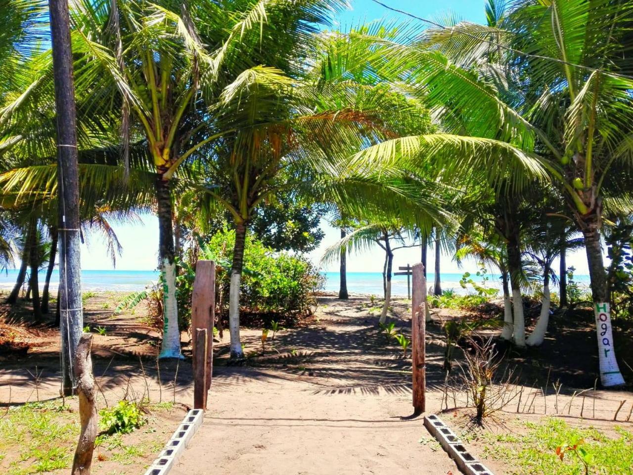 Casa Turtle Bogue Guest house