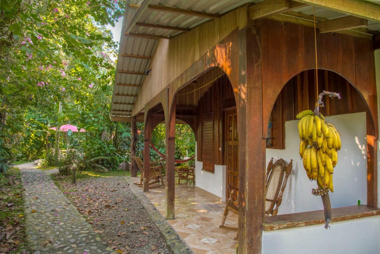 Cabinas Iguana * Cahuita
