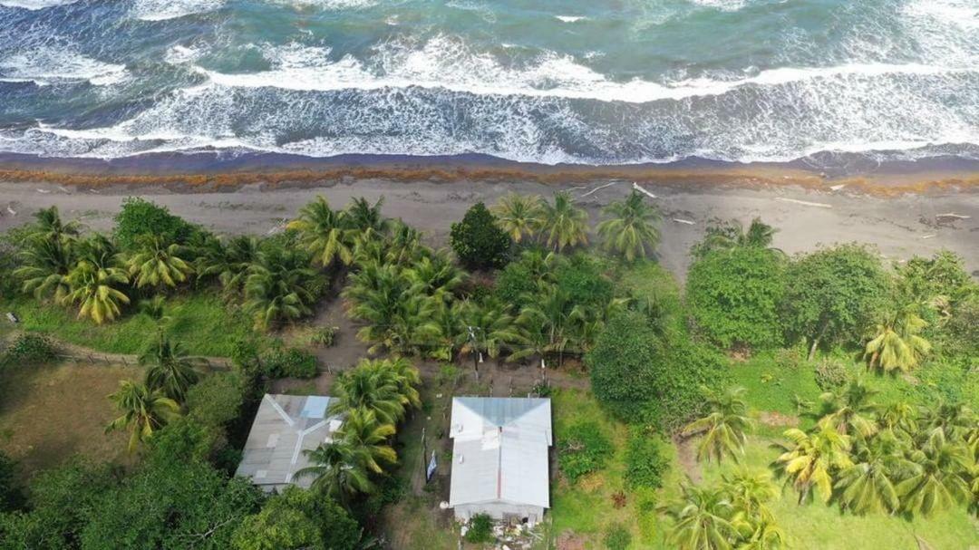 Casa Turtle Bogue Guest house *