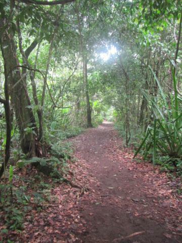 Casa Chilamates Tortuguero