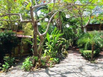 Tropical Sands Eco Hotel