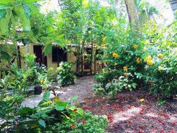 Tropical Sands Eco 2* Dominical