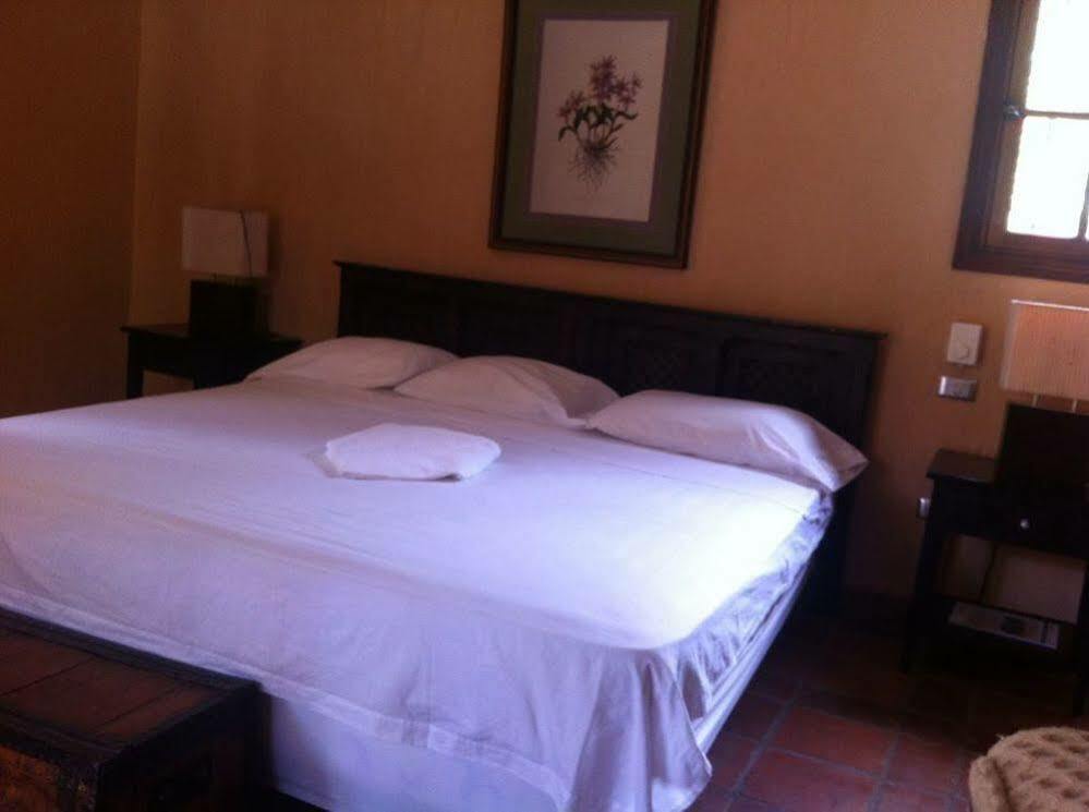 Cabinas Cigalou Tamarindo Matapalo (Santa Cruz)