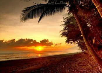 Hotel Tropical Sands Eco