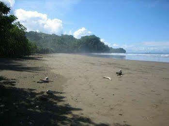 Tropical Sands Eco 2*