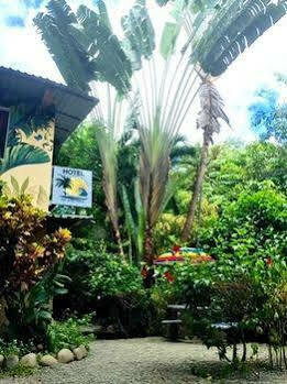 Tropical Sands Eco Dominical