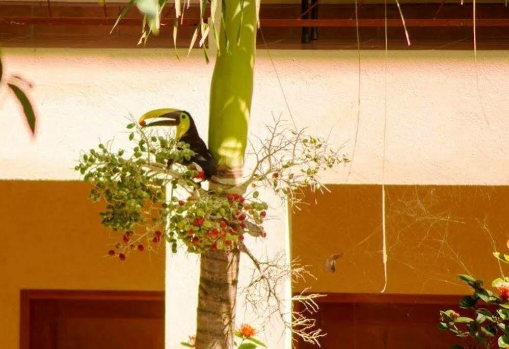 Hotel Tropical Sands Eco 2*