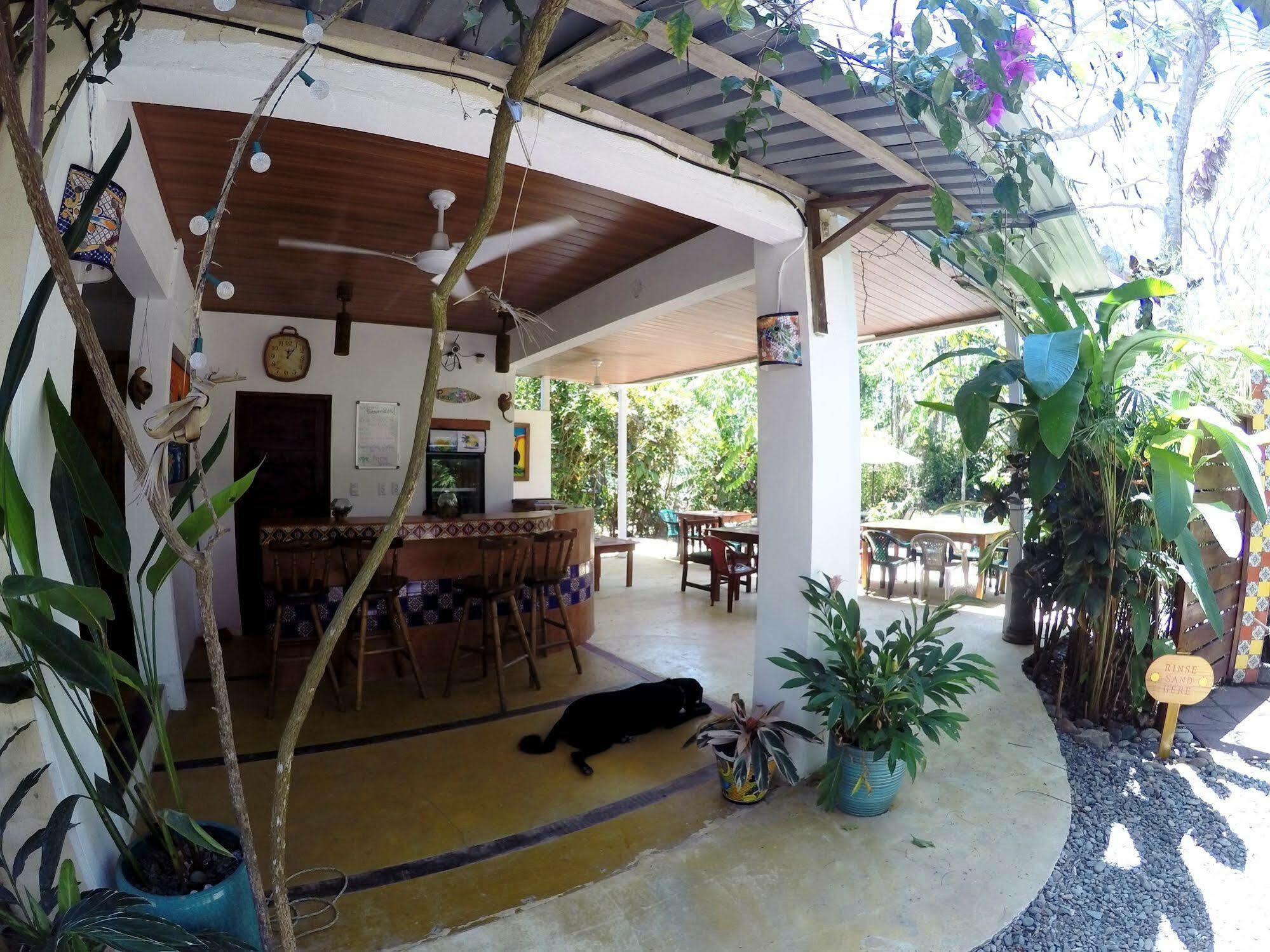 Tropical Sands Eco