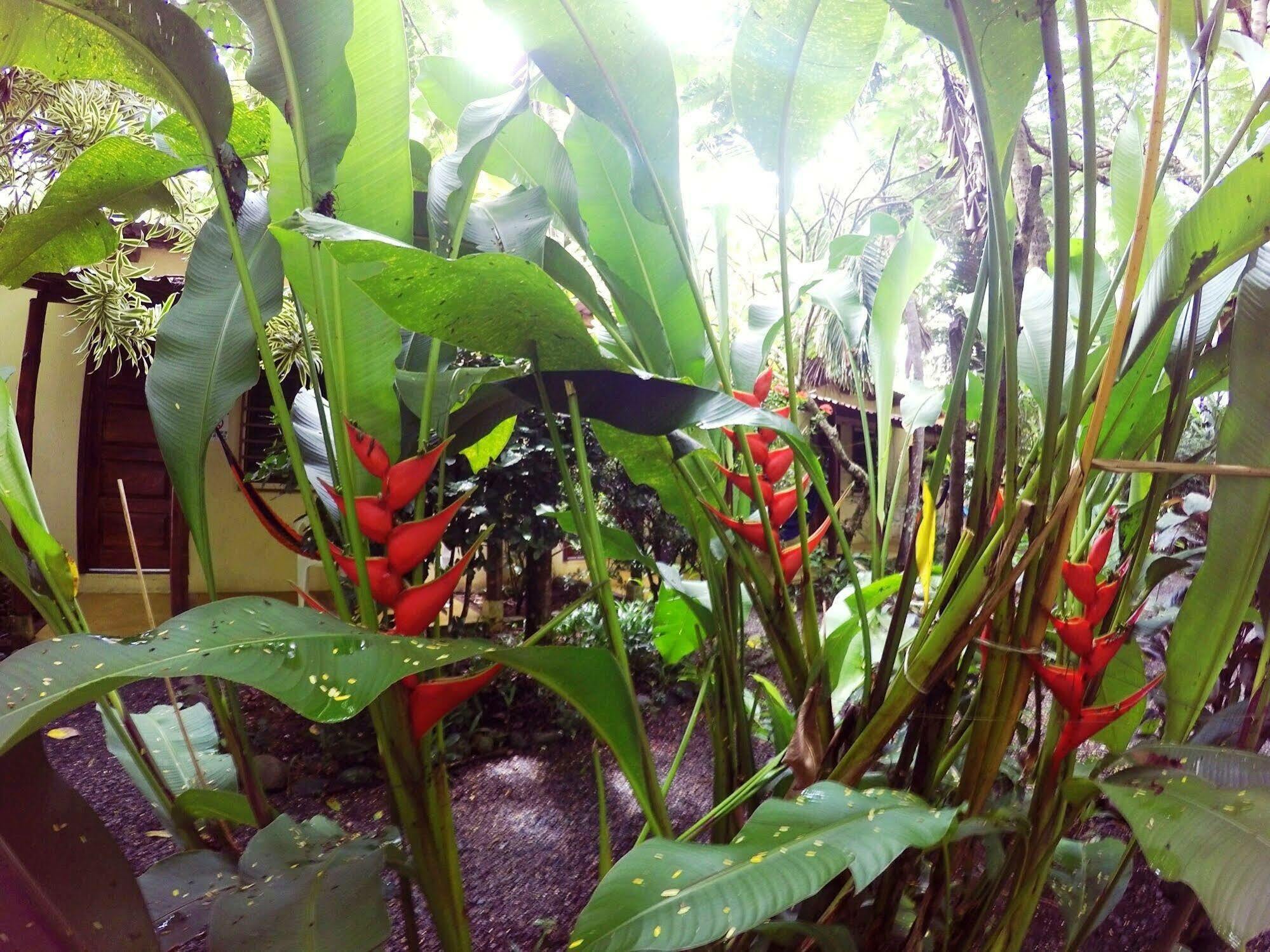 Tropical Sands Eco Hotel 2*