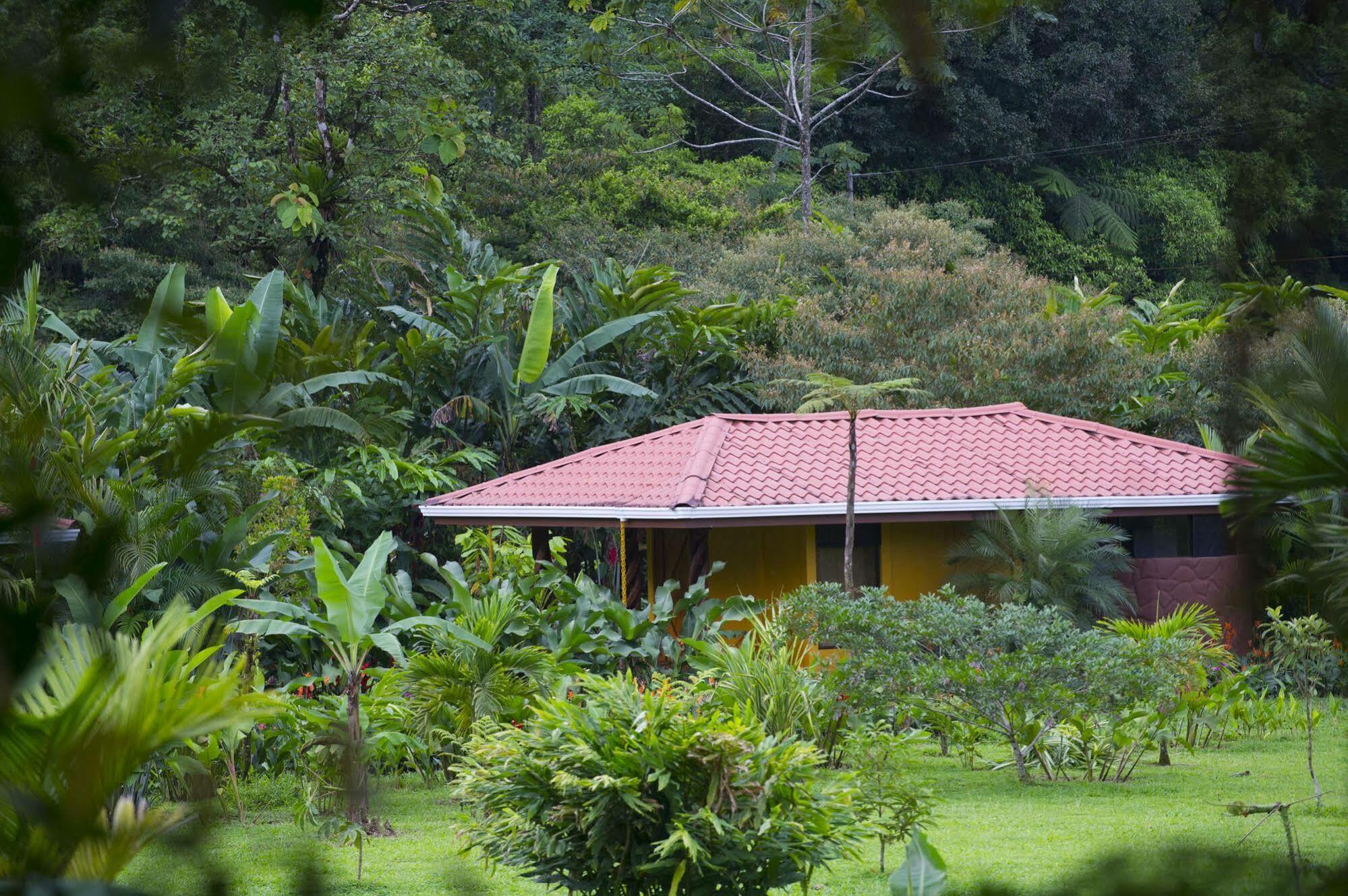 Catarata Rio Celeste Hotel 3*