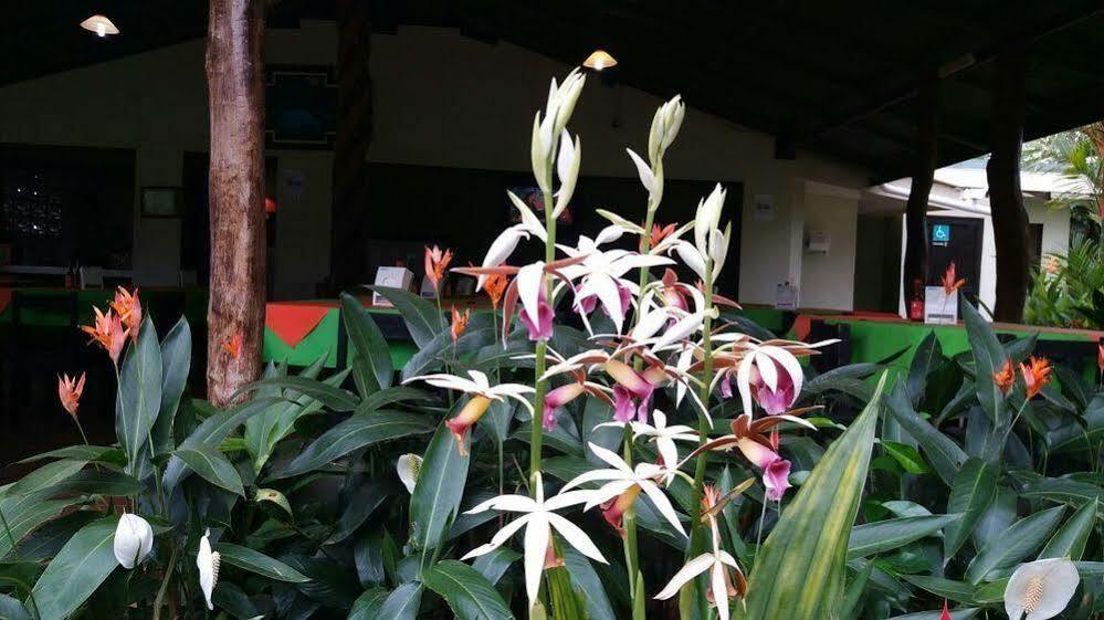 Catarata Rio Celeste Hotel