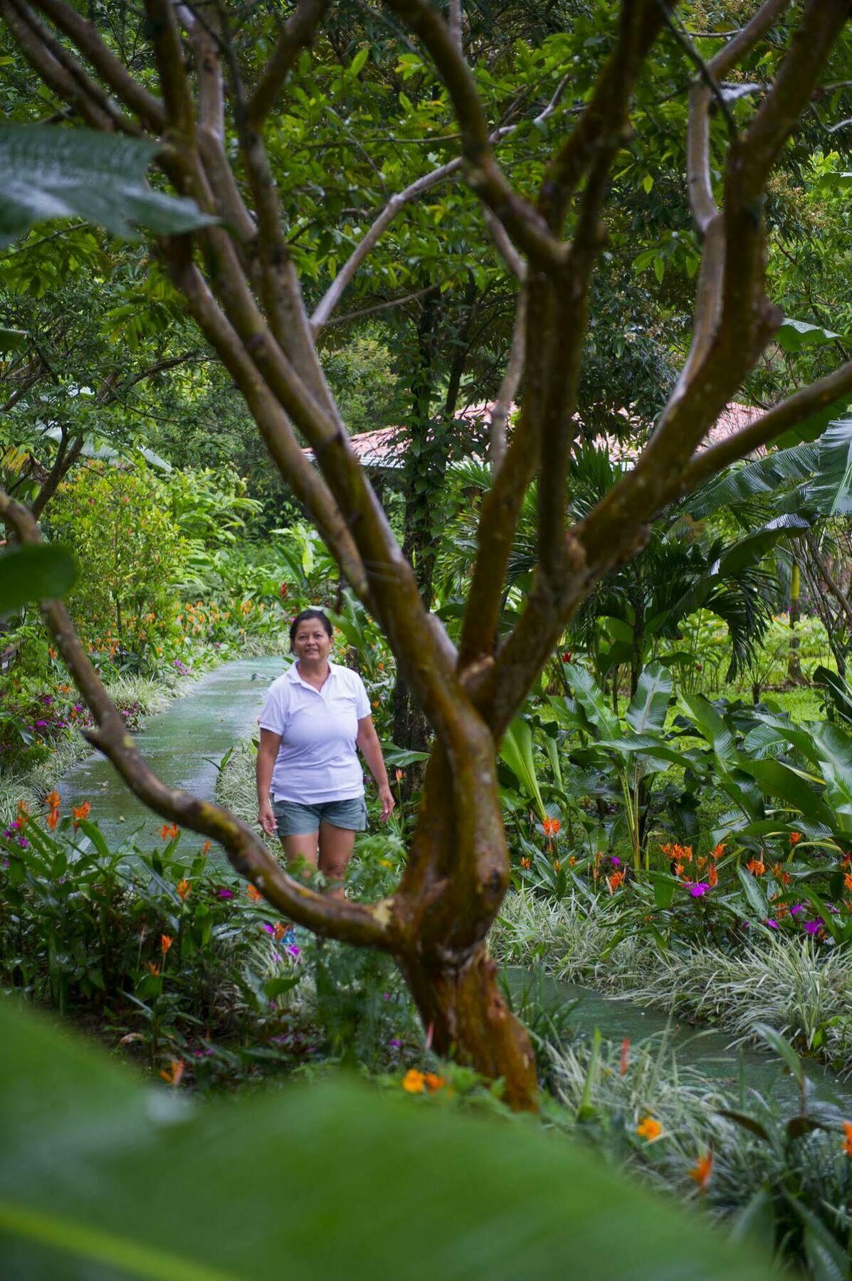 Catarata Rio Celeste Hotel 3*