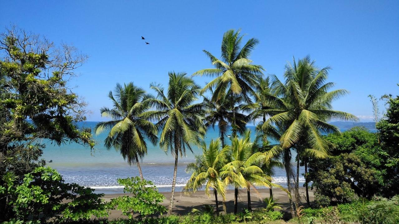 Las Brisas Tours Y Cabinas Ciudad Cortes
