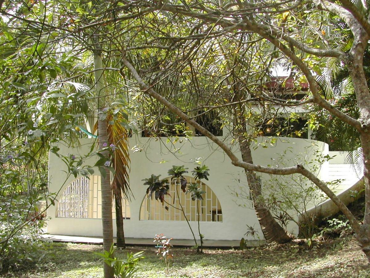 Nosarananda Hostel Nosara