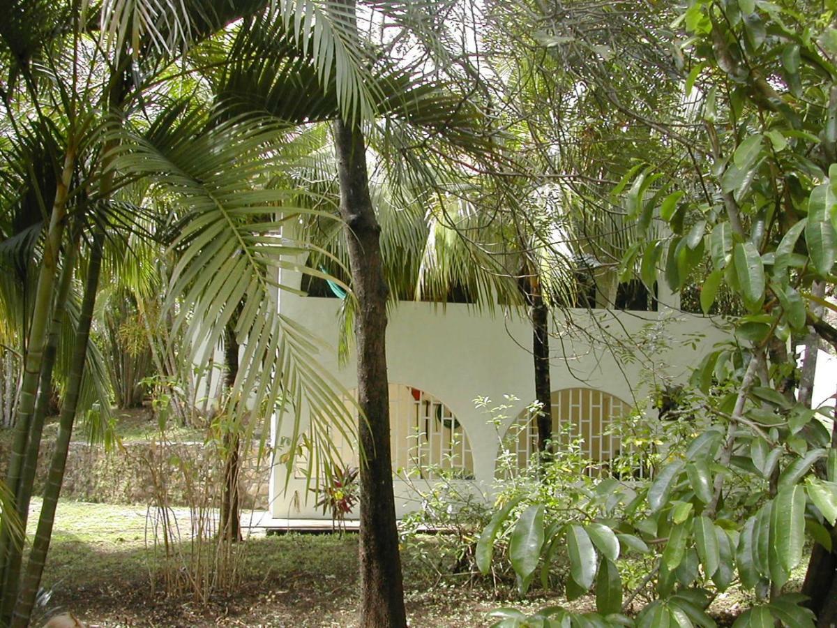 Hostel Nosarananda Nosara