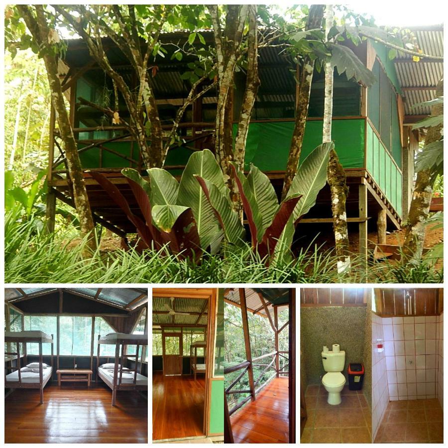 Hotel Naguala Jungle 2*