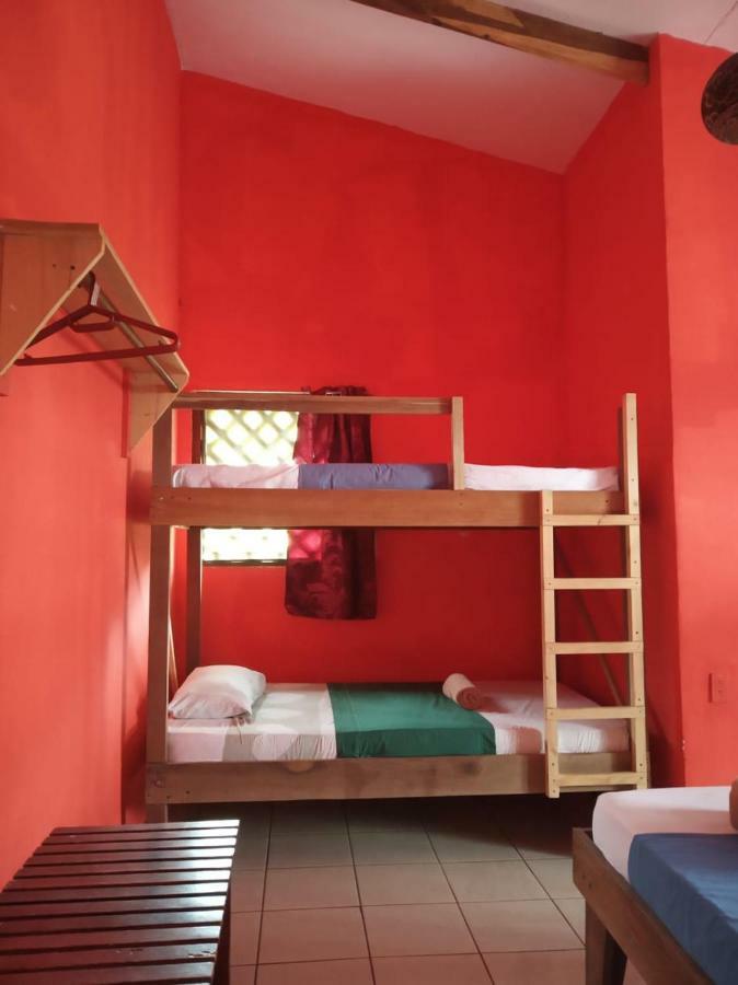 Lodge Tortuguero Adventures Beach House